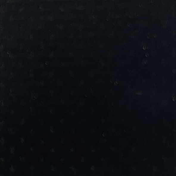 PVC - Noir (Complan 904)